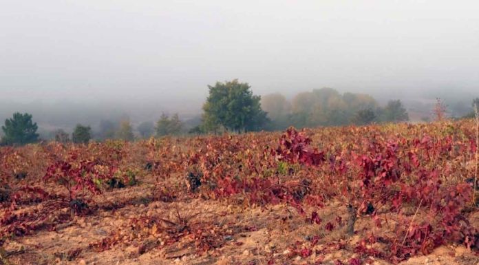 Zamora en otoño: naturaleza, patrimonio y sabor en la estación dorada