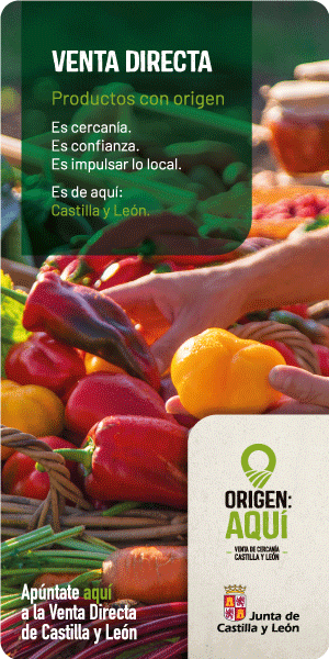 2026.06.04 Venta-directa 300×600