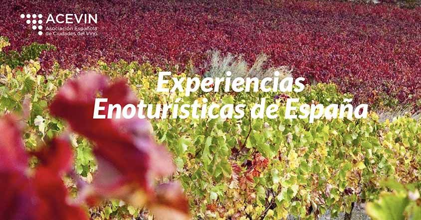 ACEVIN culmina un proyecto de 1,7 millones para impulsar el enoturismo con fondos europeos
