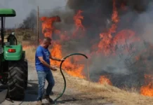 El Psoe exige a la Junta un plan integral para la recuperación de las zonas afectadas por los incendios