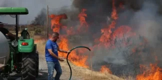 El Psoe exige a la Junta un plan integral para la recuperación de las zonas afectadas por los incendios