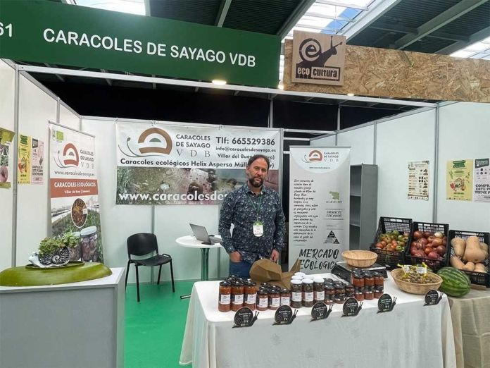 CARACOL SAYAGO