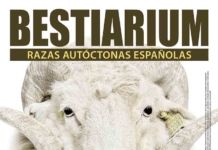 Zamora acoge el roadshow ‘Bestiarium’ durante la celebración de la feria Fromago