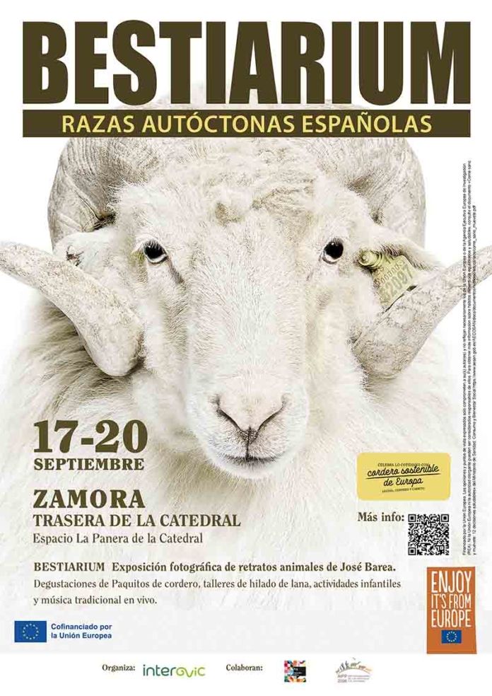 Copia de Copia de ROLL-UP bestiarium