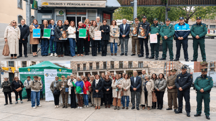 Collage documental de grupos en la plaza