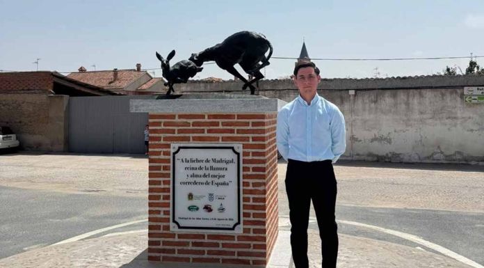 David Alonso Cuesta lleva la tradición galguera de Madrigal de las Altas Torres a una escultura monumental