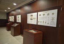 El Archivo Histórico Provincial descubre el lado más singular de los protocolos notariales