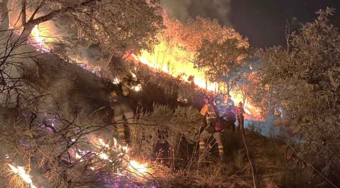 El incendio de Fermoselle baja al nivel 1 de gravedad tras cuatro días de intensa lucha contra las llamas