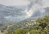 El incendio de Fermoselle vive sus momentos más críticos por el viento, con rachas de hasta 35 km/h