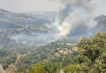 El incendio de Fermoselle vive sus momentos más críticos por el viento, con rachas de hasta 35 km/h