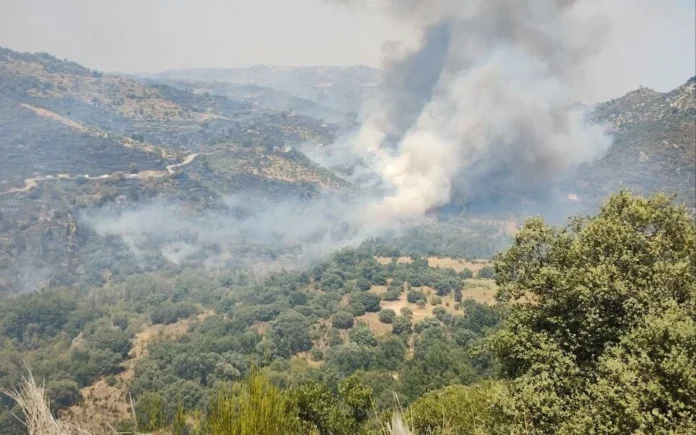 Incendio Fermoselle 2-29.07.26