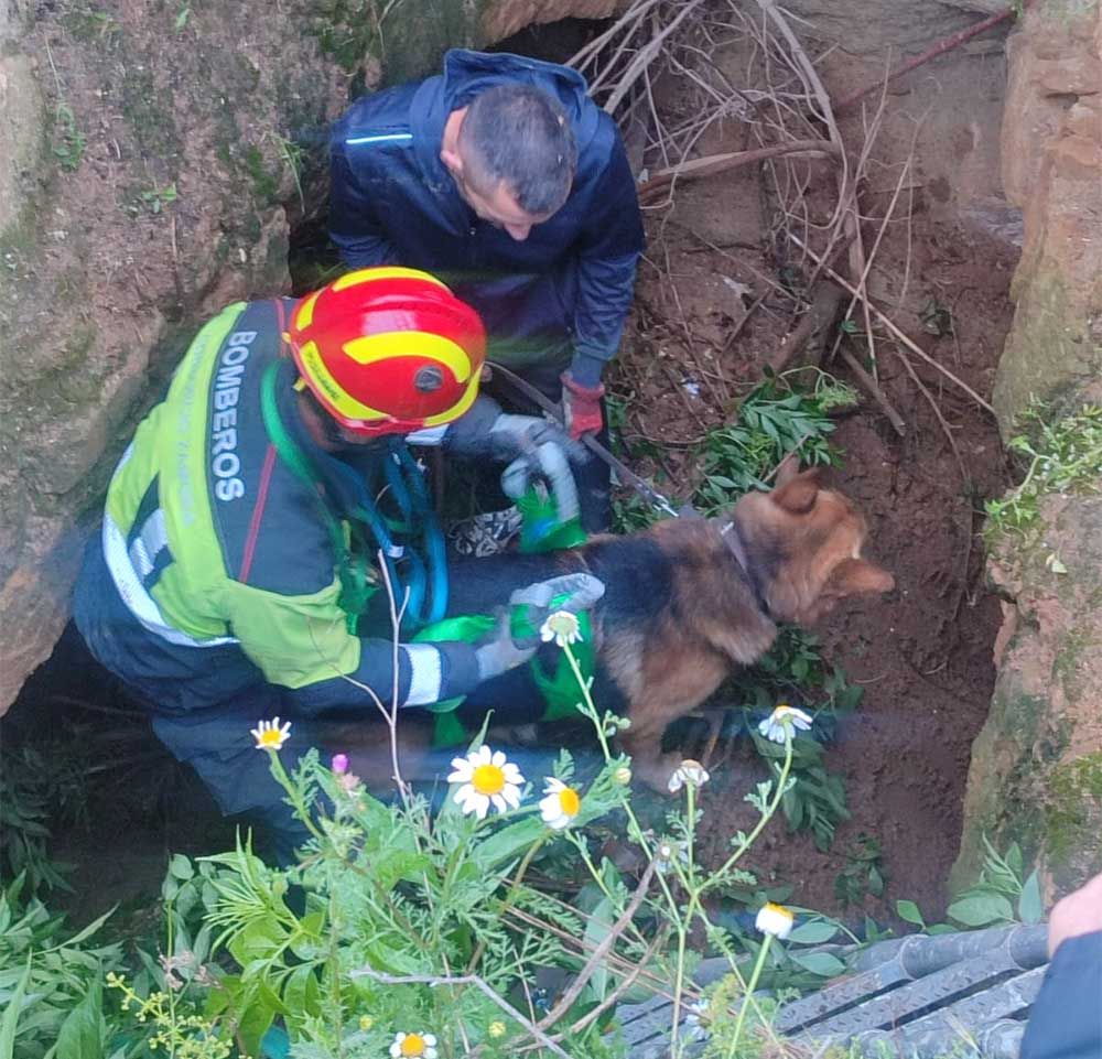 Los bomberos de la Diputación rescatan a un pastor alemán atrapado en ...