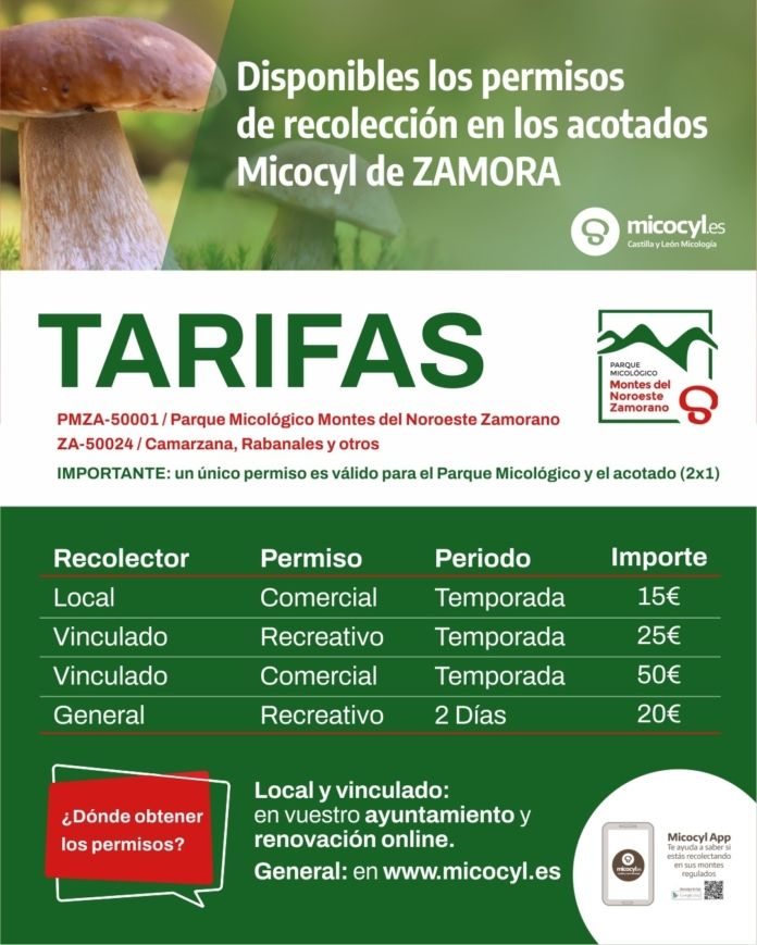 Permisos_2026