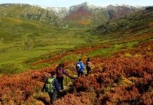 CRIOSANABRIA impulsa la recuperación de la Sierra de Sanabria tras los incendios