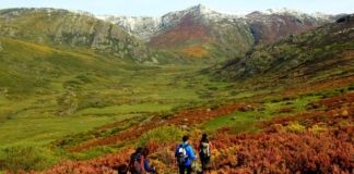 CRIOSANABRIA impulsa la recuperación de la Sierra de Sanabria tras los incendios