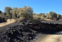 Sayago Renace: 23 pueblos se unen contra los incendios con el objetivo de mejorar la prevención