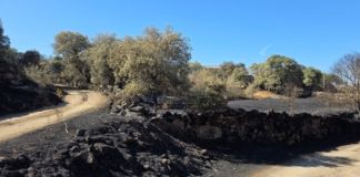 Sayago Renace: 23 pueblos se unen contra los incendios con el objetivo de mejorar la prevención
