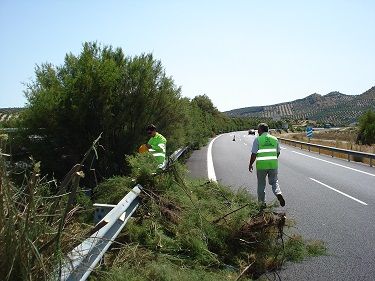 arbustos autovias
