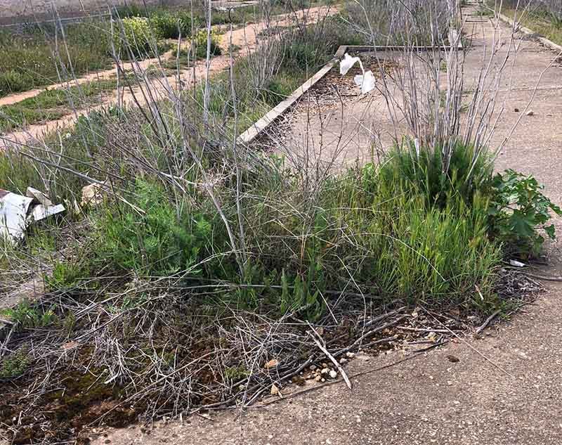 Los vecinos del barrio de Alviar denuncian el estado de abandono en el ...