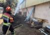 Los bomberos del Consorcio Provincial mantienen una intensa lucha para proteger los pueblos de Sayago del incendio de Fermoselle