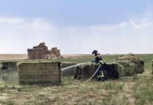 La Junta liquida 1,86 millones en ayudas directas para los profesionales del campo afectados por los incendios