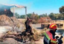 Proliferan los llamamientos para conseguir paja y forraje para las explotaciones ganaderas afectadas por el fuego de Fermoselle