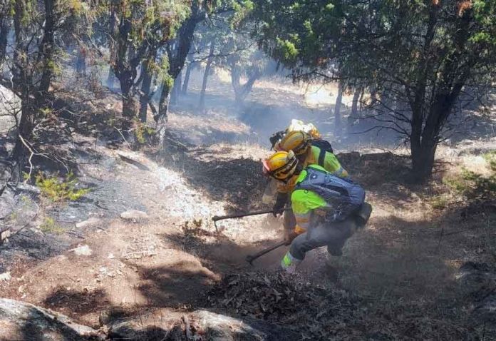 bomberos forestales naturalezacyl