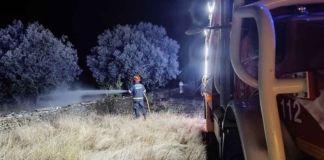 Los bomberos evitan que un incendio forestal en Las Torres de Aliste alcance una nave próxima