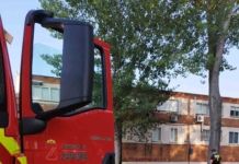 Zamora sumará cuatro nuevas cuadrillas forestales con 28 bomberos para trabajar durante todo el año