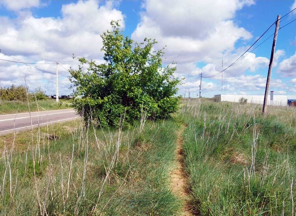 camino la hiniesta