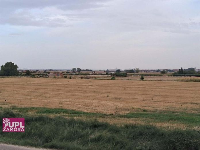 campo upl