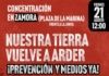 Zamora se suma a las movilizaciones de “Nuestra tierra vuelve a arder” este viernes 21 de agosto