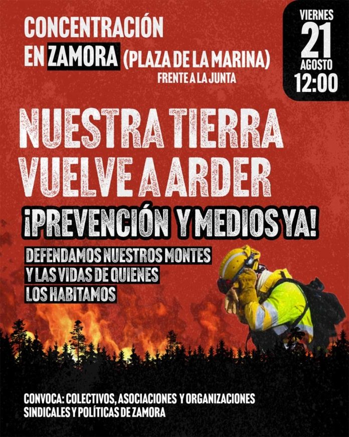 cartel