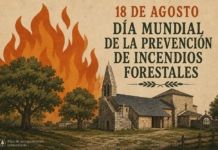 Criosanabria reclama una estrategia estatal ante incendios cada vez más extremos en Zamora