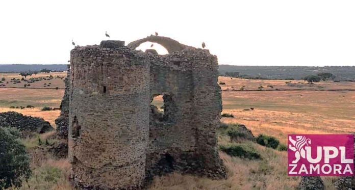 castilo amesnal alfaraz
