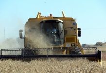 Castilla y León exige al Gobierno “medidas reales y rápidas” contra la crisis del campo y arremete contra las políticas “ecofanáticas”