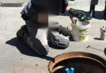 El Ayuntamiento de Zamora pone en marcha la tercera campaña de desratización en la red de alcantarillado público de la ciudad