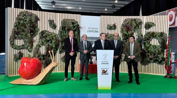 Javier Faúndez: «Ecocultura no es una feria más; es la gran cita de la producción ecológica de España»