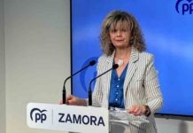 El PP acusa a Izquierda Unida y al PSOE de engañar a los zamoranos con la viabilidad del «tren madrugador»