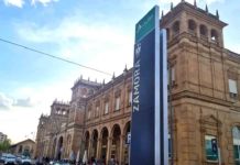 Un tren atropella a un corzo en Andavías y obliga a trasladar en taxi a sus ocho pasajeros