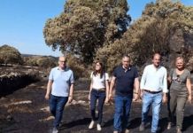 Faúndez pide proteger los pueblos frente al fuego con perímetros limpios: «Tenemos que evitar que las poblaciones corran peligro»