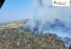 Estabilizada la mayor parte del incendio de Los Arribes, aunque la amenaza de rebrotes persiste en Mámoles