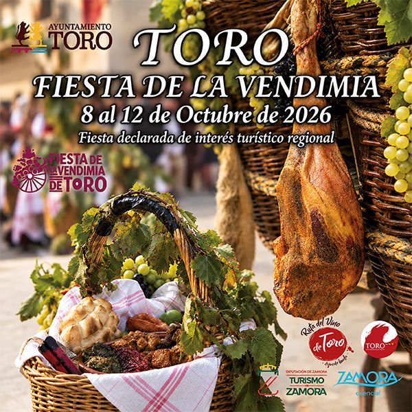 fiesta vendimia toro