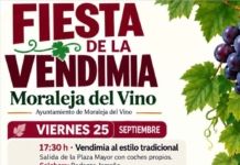Moraleja del Vino celebra su Fiesta de la Vendimia con pisada de uvas, flamenco y degustaciones