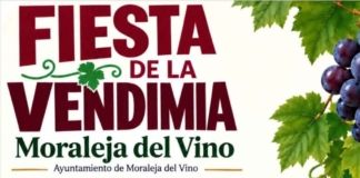 Moraleja del Vino celebra su Fiesta de la Vendimia con pisada de uvas, flamenco y degustaciones