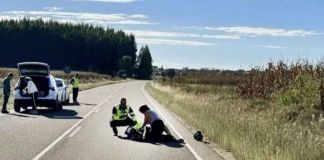 Un motorista resulta herido grave tras chocar contra un corzo en Burganes de Valverde
