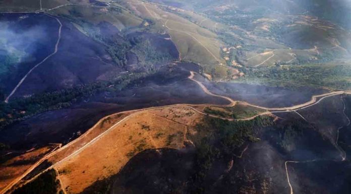 Estabilizados todos los frentes del incendio de Hermisende