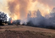 La Junta prolonga un día más la quinta situación de alerta por riesgo meteorológico de incendios forestales, hasta el 14 de agosto