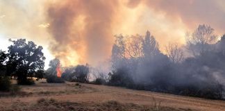 La Junta prolonga un día más la quinta situación de alerta por riesgo meteorológico de incendios forestales, hasta el 14 de agosto