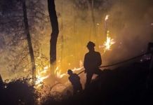 Mejora la situación del incendio de Fermoselle tras una noche de intenso trabajo